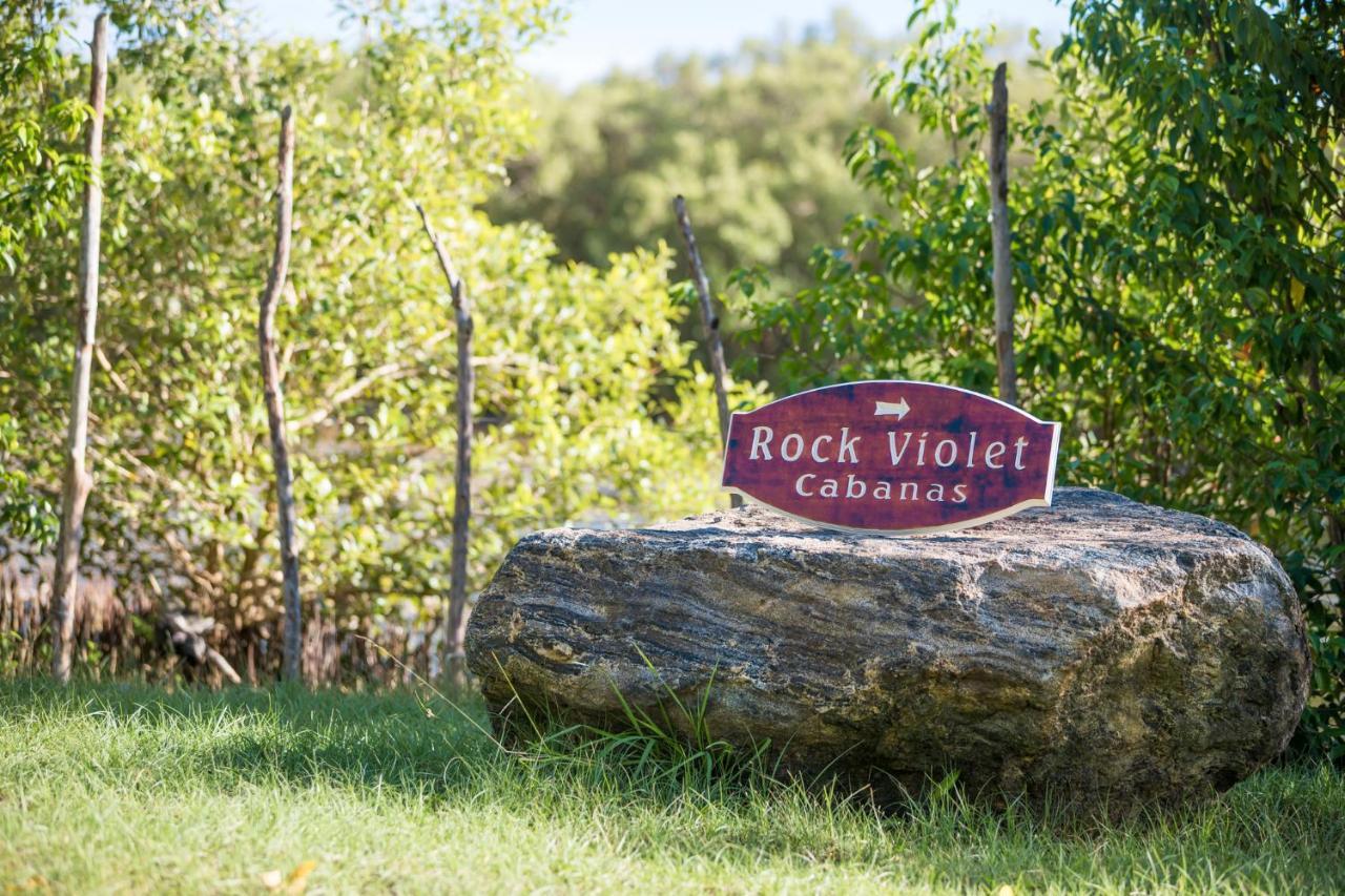 Rock Violet Lakefront Cabanas & Restaurent تانجالي المظهر الخارجي الصورة